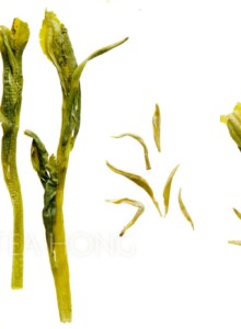 Comparing the size of the steeped tealeaves of four green teas:
(from left to right) Huangshan Maofeng Classic, Taiping Houkui Traditional, Biluochun Supreme, and a top export grade Longjing. 4 kinds of tea leaves that have been steeped, each in a very different size