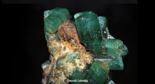 Teas are like raw gems: emerald