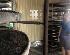 Mist spraying in the oxidation (fermentation) chamber — Red Jade black tea