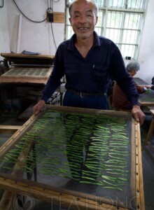 Old Master Wang holding a mesh with freshly pressed tealeaves before sliding into the charcoal oven An old man holding a square mesh screen with rows and columns of tealeaves flattened on it