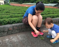Playing with the farmer's boy on the side of a small Hong Yu tea garden