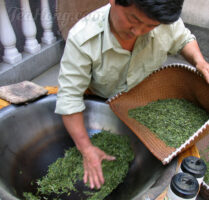 Leaves being scooped back into a bamboo ladle to cool down