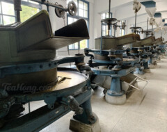 Old tea rolling machines installed by the Japanese colonialist government in one of the first modern black tea factory in Yuchi, a subsequent major tea researches and cultivar development centre in Taiwan, and where the cultivar Hong Yu TTES#18 was born.