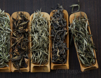 Five different white teas