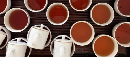 During peak harvest season, we have to do many rounds of comparative tasting to select the best from a region, a producer and very often the same tea variety. Our senses must remain sharp and ready at all time in order to make the right choice. To lines of tea bowl holding similar tea for comparative tea tasting