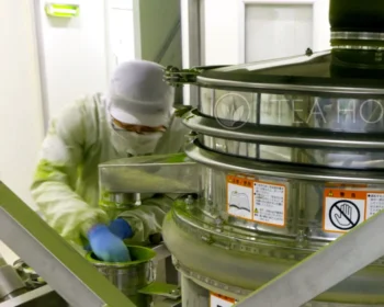 Matcha grinding technician, in full protective overall, head-cover and mask, changing the sieve filter during a halt in the production