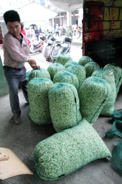 A buyer getting his buy of the day to take back to his jasmine scenting workshop A jasmine buyer gathering huge bags of jasmine flower buds next to his motor tricycle