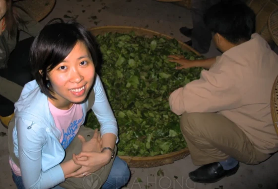 A thin and tired looking lady squatting down in front of a basket of tealeaves, smiling for the photo shoot
