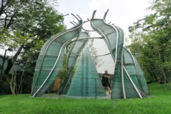 Satoru Okamoto, Fairy Chapel