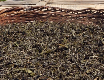 A thick layer of tealeaves in a bamboo basket, with a high density of furry leaf shoots, darkened in colour after long exposure under the sun