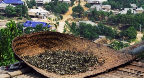 A thick layer of tealeaves in a bamboo basket, with a high density of furry leaf shoots, darkened in colour after long exposure under the sun